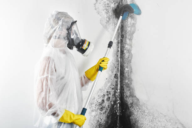 Best Residential Mold Inspection & Testing  in Grandview, TX