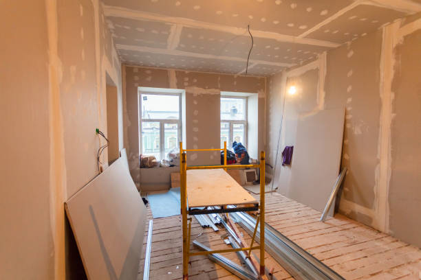 Professional Mold Removal in Grandview, TX